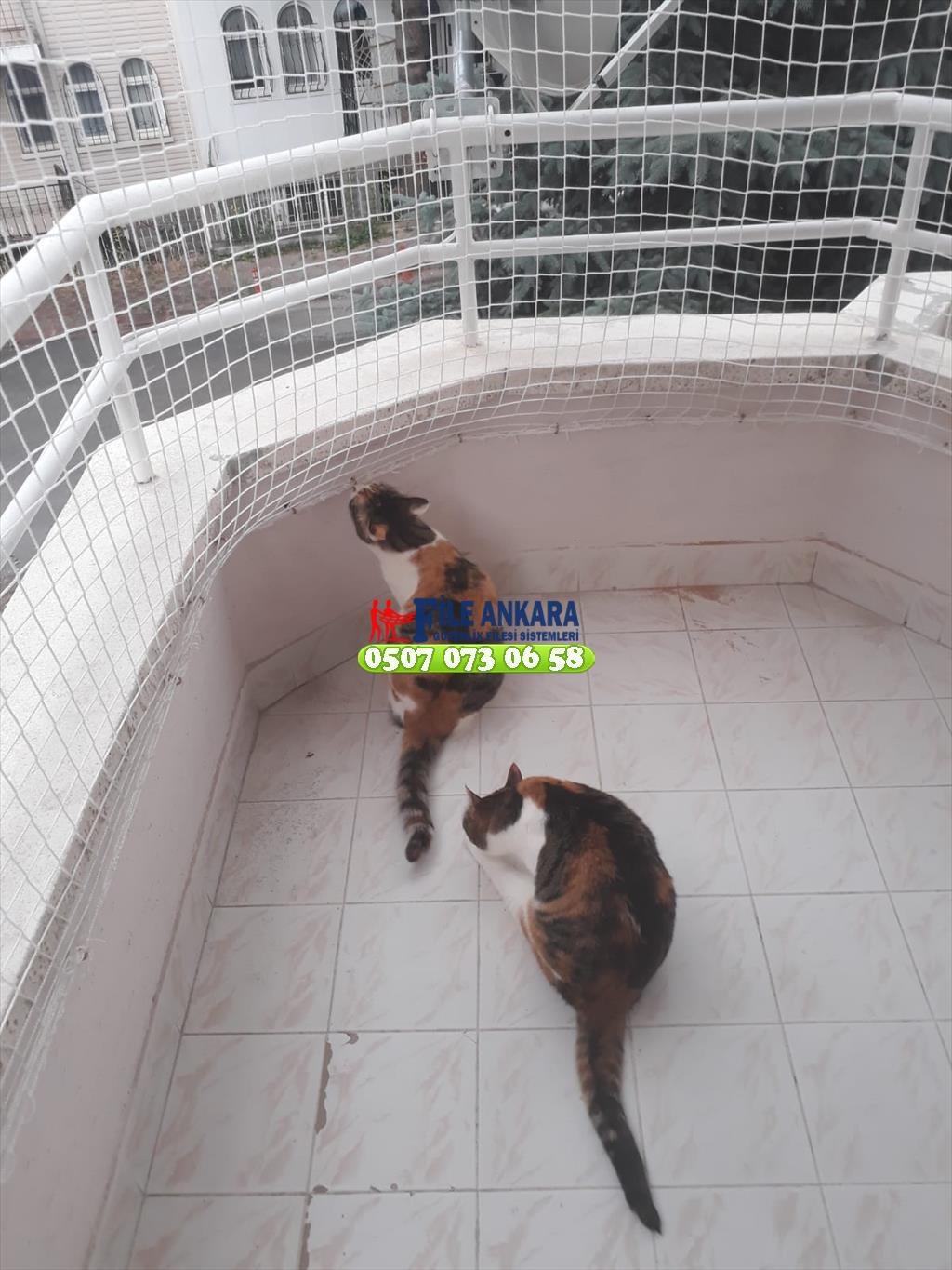 Kedi koruma filesi fileankara.com liderfile.com 0541 165 06 58